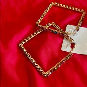 Multi Color Earrings